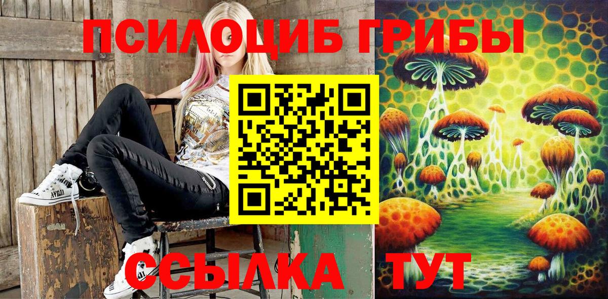 Псилоцибиновые грибы Psilocybe  Вход с VPN  Галлюциногенные грибы мицелий  Ишим 